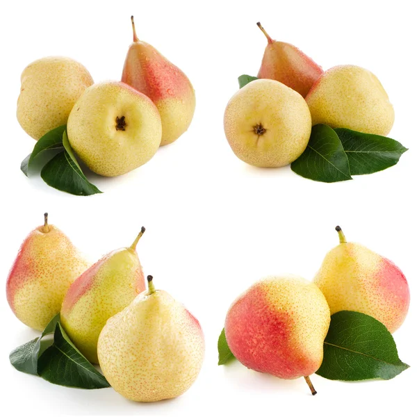 Ripe pears — Stock Photo, Image