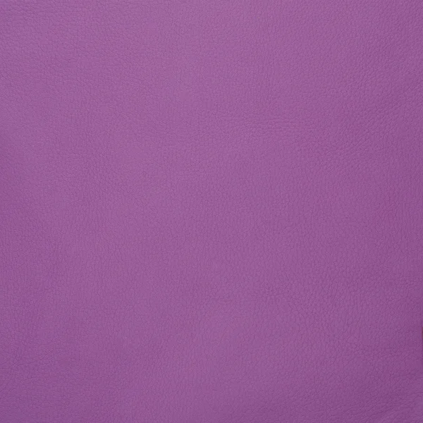 Tekstur kulit Violet — Stok Foto