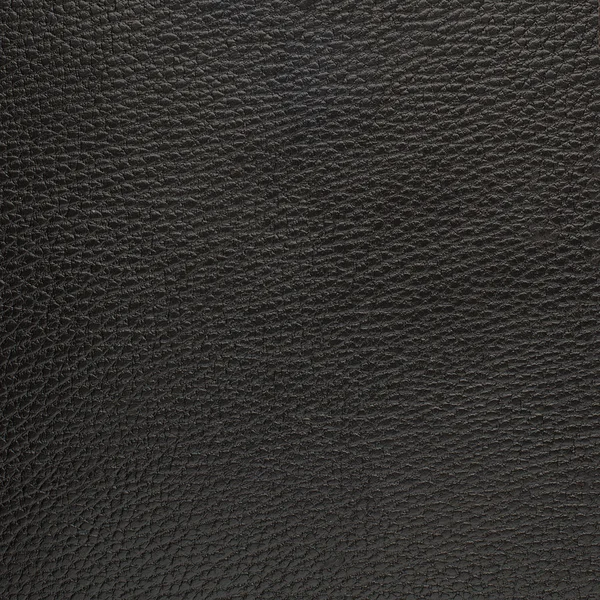 Textura de cuero negro —  Fotos de Stock