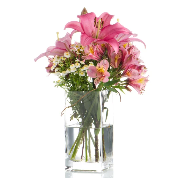 Pink lilies — Stock Photo, Image