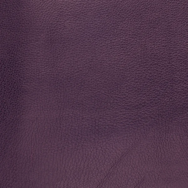 Pelle viola — Foto Stock