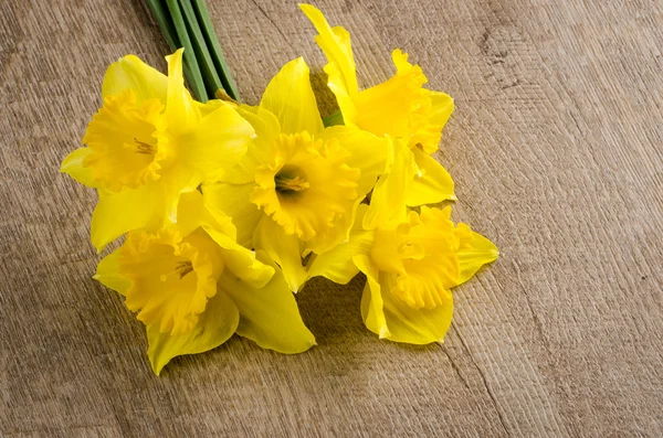 Jonquil blommor — Stockfoto