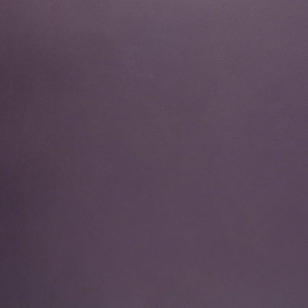 Couro violeta — Fotografia de Stock