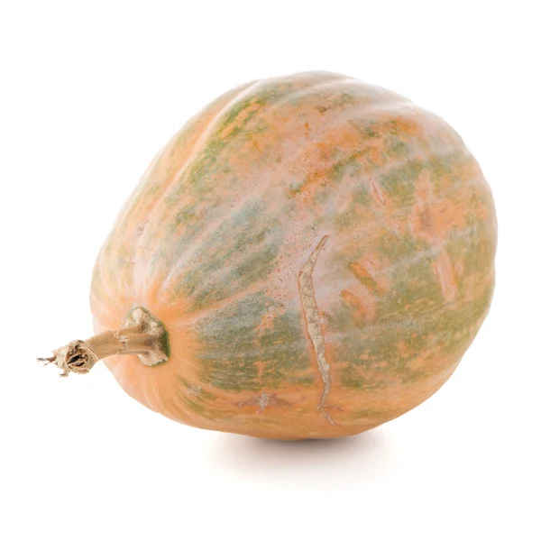 Zucca calabrese — Foto Stock