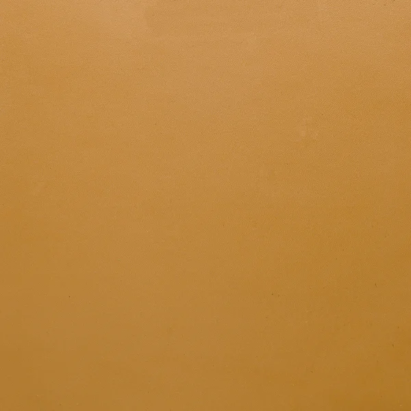 黄革 — 图库照片