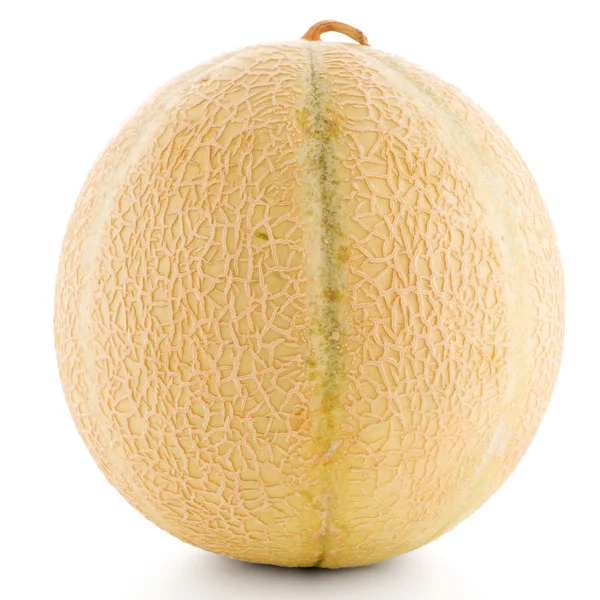 Melón de melón — Foto de Stock
