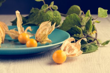 Physalis meyve
