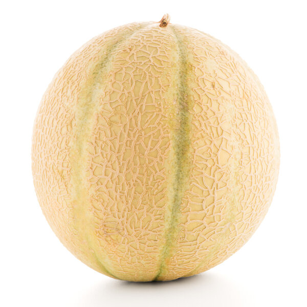 Honeydew melon