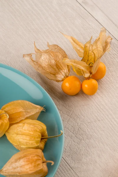 Physalis ovoce — Stock fotografie