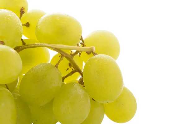 Uvas verdes — Foto de Stock