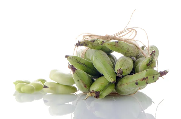 Groene bonen — Stockfoto