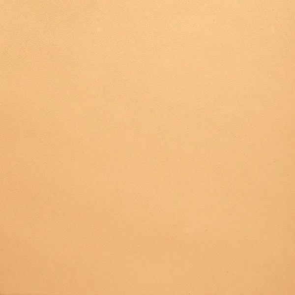 Pelle beige — Foto Stock