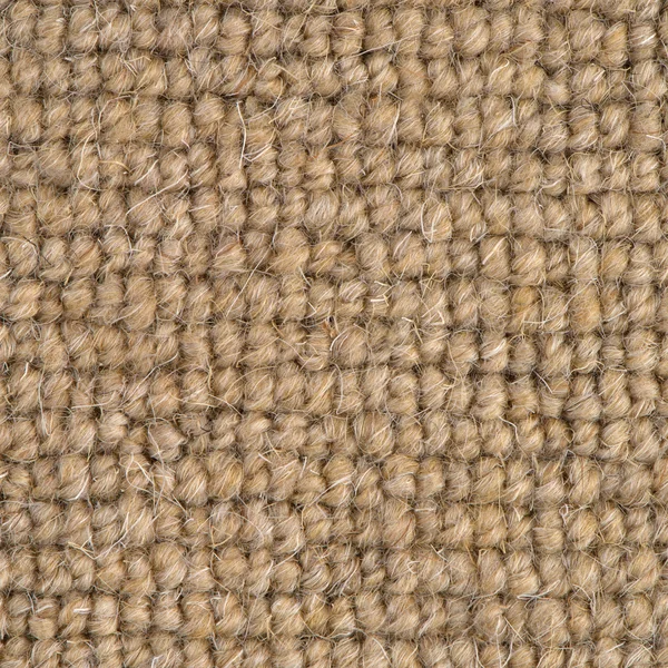 Hnědý koberec — Stock fotografie