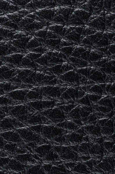 Texture cuir noir — Photo