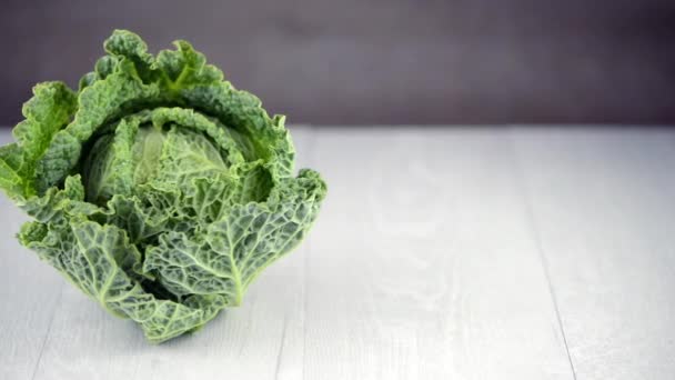 Savoy cabbage — Stock Video