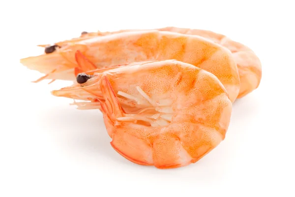 Three shrimps — Stock Photo, Image