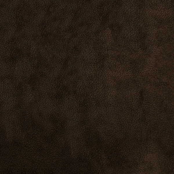 Kahverengi deri — Stok fotoğraf