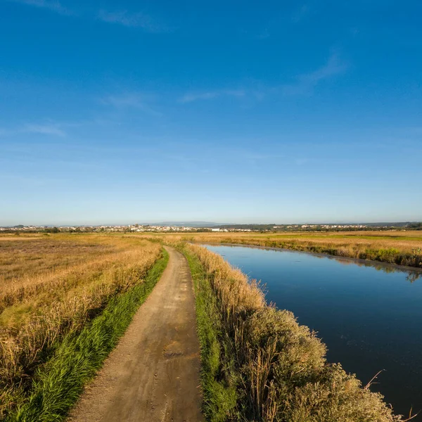 Vista Autunnale Bioria Una Riserva Naturale Estarreja Nord Del Portogallo — Foto Stock