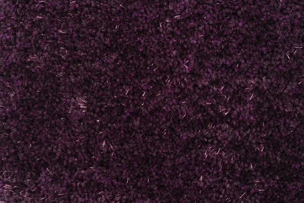 Tapis violet — Photo