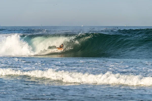 Бодімандер Їде Хвилі Ясінто Пляжі Поблизу Авейру Португалія — стокове фото