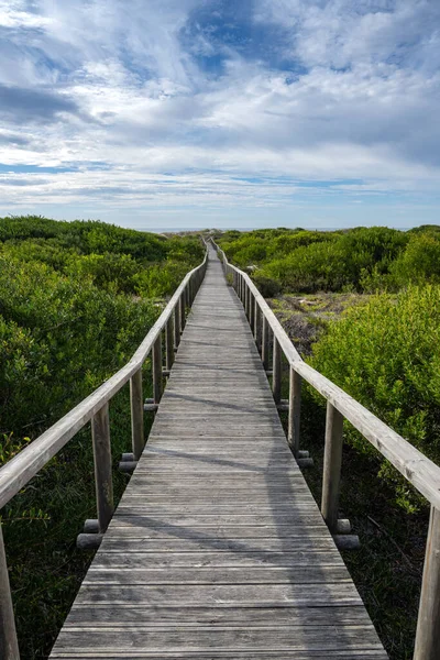 Houten Pad Naar Het Strand Door Zandduinen Van Het Natuurreservaat — Stockfoto