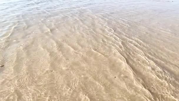 해안선의 모래사장에 파도가느려 지면서 서서히 해변의 모래사장에 것입니다 물결의 — 비디오