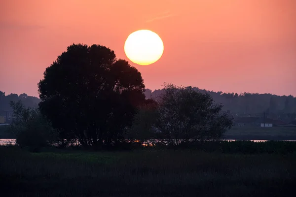 Puusiluetti Auringonlaskun Aikaan Suoalueiden Yllä Ovarissa Portugalissa — kuvapankkivalokuva