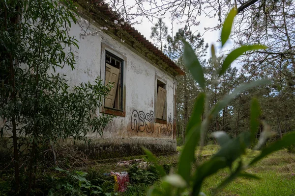 Ovar Portugal Şubat 2022 Furadouro Ovar Orman Koruma Evi Portekiz — Stok fotoğraf