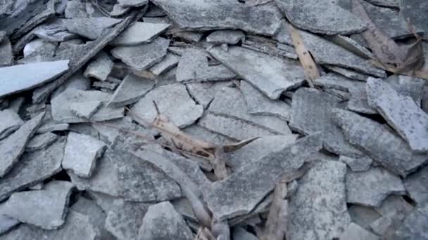 Ovar Portugal Februar 2022 Abfall Aus Abrissarbeiten Mülldeponie Waldrand Von — Stockvideo