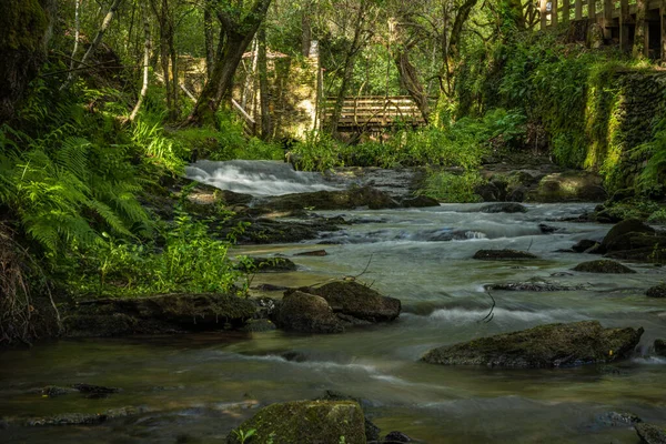 Umgebende Landschaft Mit Dem Brunnenpark Estanislau Und Dem Fluss Lourido — Stockfoto