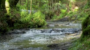 Portekiz 'in Ovar belediyesindeki Ara ve Maceda kiliselerini bölen Estanislau çeşme parkı ve Lourido nehrinin çevresini çevreleyen manzara.
