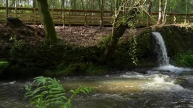 Portekiz 'in Ovar belediyesindeki Ara ve Maceda kiliselerini bölen Estanislau çeşme parkı ve Lourido nehrinin çevresini çevreleyen manzara.