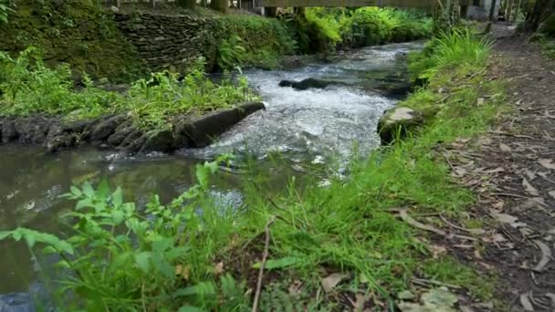 Surrounding Landscape Estanislau Fountain Park Lourido River Divides Parishes Arada — Vídeos de Stock