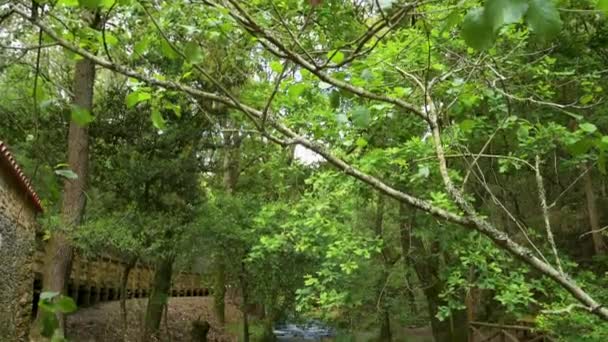 Surrounding Landscape Estanislau Fountain Park Lourido River Divides Parishes Arada — Vídeos de Stock
