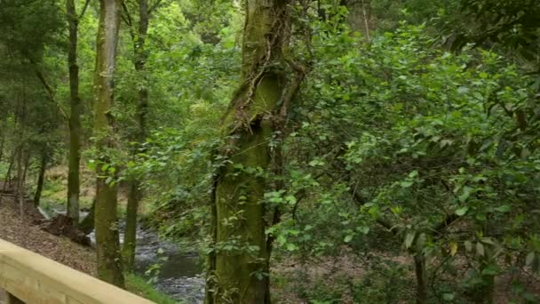 Окружающий Пейзаж Фонтанного Парка Эстанислау Реки Луридо Разделяющей Приходы Арада — стоковое видео