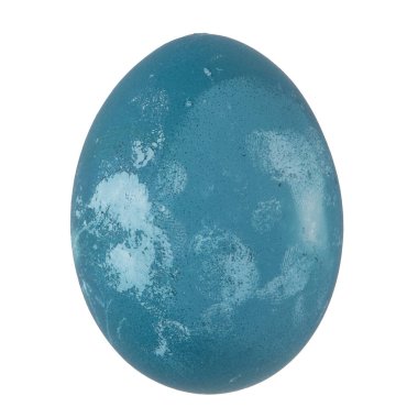 Mavi boyalı yumurta beyaz arkaplanda izole.