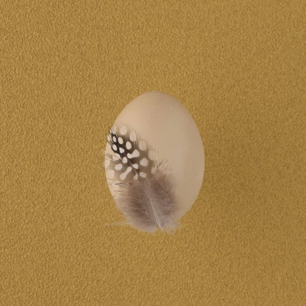 Chicken Painted Egg Featheron Yellow Background — Zdjęcie stockowe