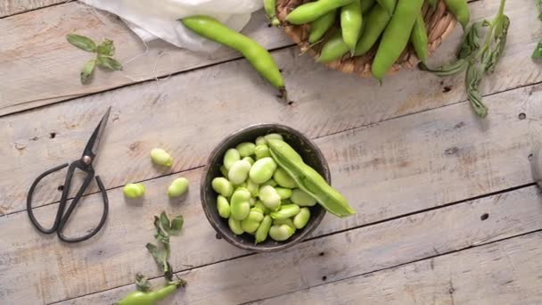 Fresh Raw Green Broad Beans Wooden Table — стоковое видео