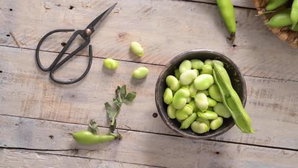 Fresh Raw Green Broad Beans Wooden Table — Stockvideo