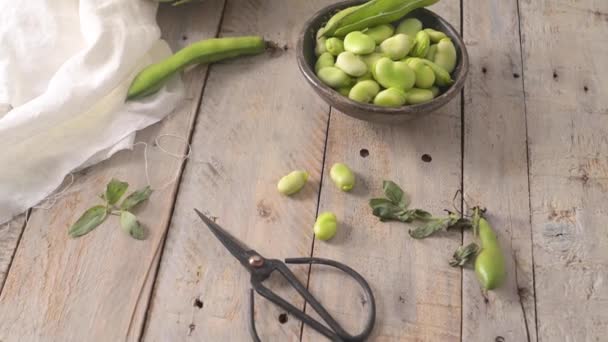 Fresh Raw Green Broad Beans Wooden Table — Video Stock