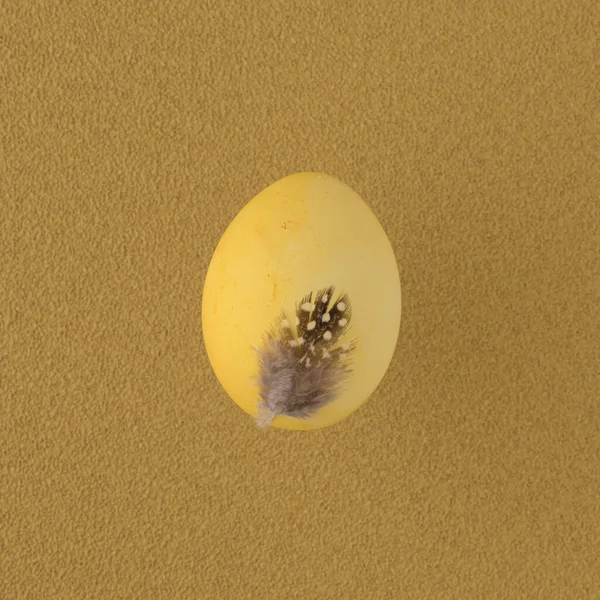 Yellow Painted Egg Feather Yellow Background — Foto de Stock