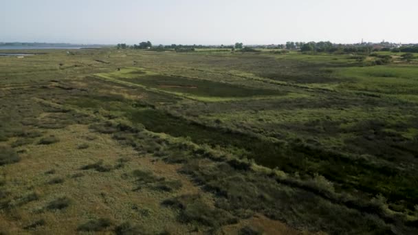 Flygfoto Över Landsbygdens Landskap Nära Aveiro Lagunen Murtosa Aveiro Portugal — Stockvideo