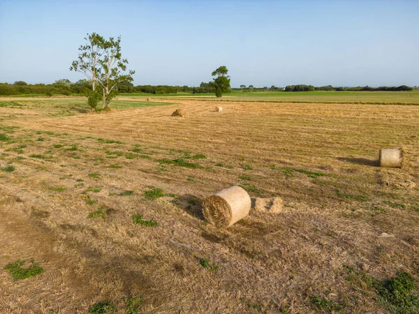 Murtosa, Aveiro, Portekiz de Aveiro Lagoon yakınındaki kırsal manzara havadan görünümü