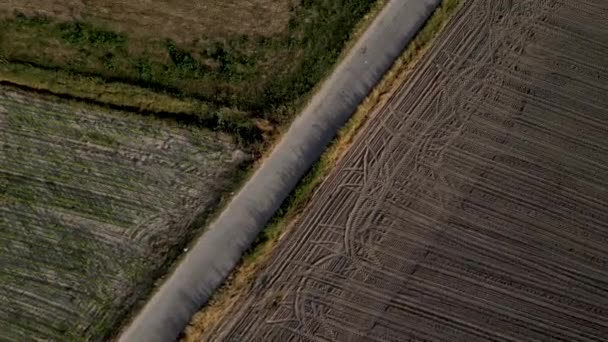 Vista Aérea Del Paisaje Rural Cerca Laguna Aveiro Murtosa Aveiro — Vídeos de Stock