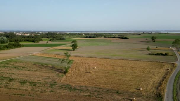 Letecký Pohled Venkovské Krajiny Nedaleko Laguny Aveiro Murtosa Aveiro Portugalsko — Stock video