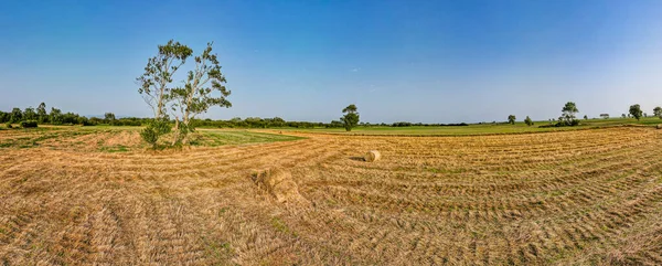 Vista Aérea Del Paisaje Rural Cerca Laguna Aveiro Murtosa Aveiro —  Fotos de Stock