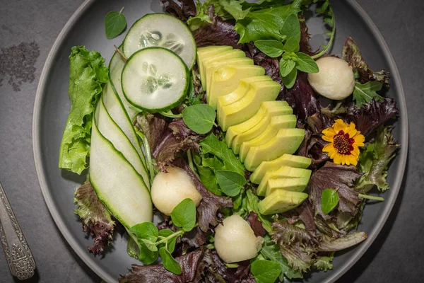 Fresh Summer Salad Cucumber Melon Avocado Fresh Oregano Served Ceramic — Foto de Stock