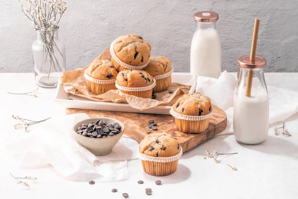 Chocolate Chip Muffins Milk Served Glass Bottles White Kitchen Countertop — kuvapankkivalokuva