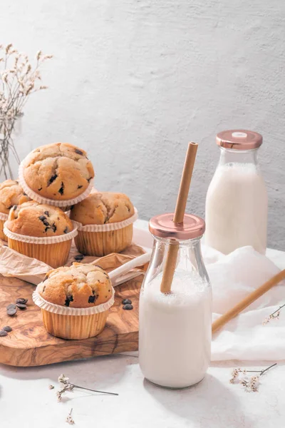 Chocolate Chip Muffins Milk Served Glass Bottles White Kitchen Countertop – stockfoto