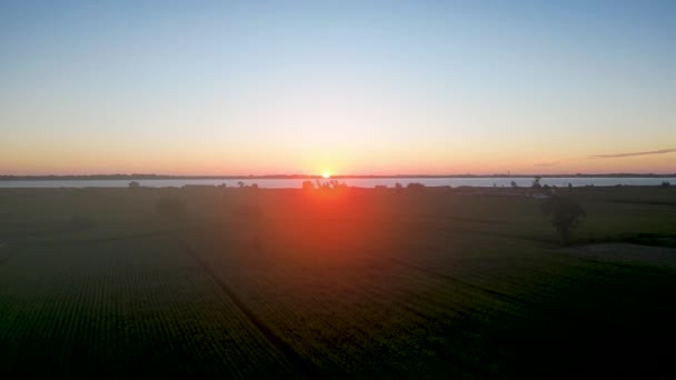 Vista Aérea Del Atardecer Sobre Los Campos Maíz Verdes Bestida — Vídeo de stock